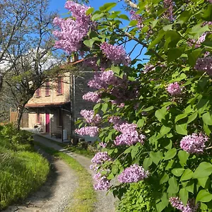  Bed & Breakfast La Lupa E L'orso